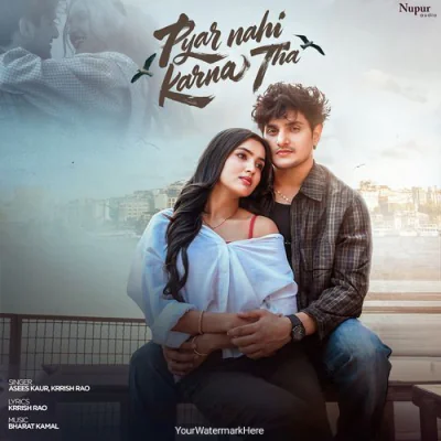 Pyar Nahi Karna Tha