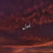 Bhool