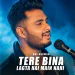 Tere Bina Lagta Hai Main Nahi