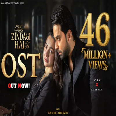 MERI ZINDAGI HAI TU OST